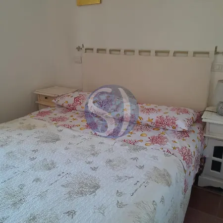 Il Sole All'isola Dei Gabbiani * Палау